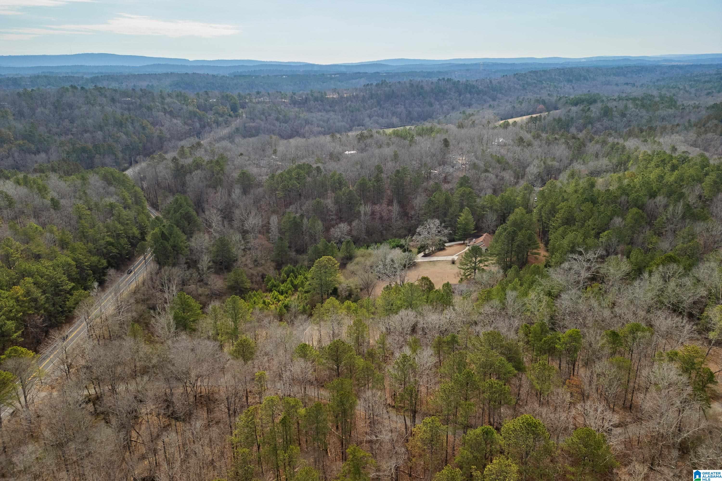 2050 Argo Margaret Road Odenville, AL 35120 - Photo 40 of 61