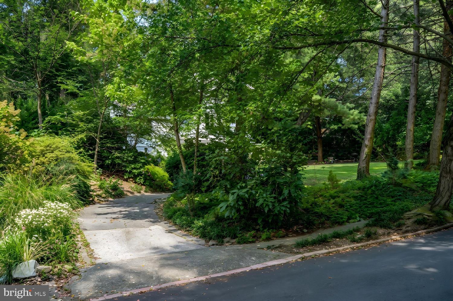 6 Elmwood Road Baltimore, MD 21210 - Photo 37 of 38 Gallery Image 37
