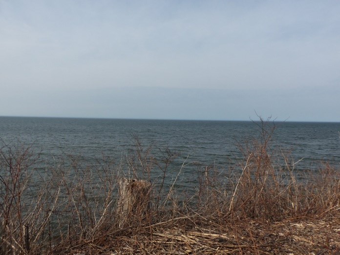 14476 Lakeshore Road Carlton, NY 14477 - Photo 1 of 1 Gallery Image 1