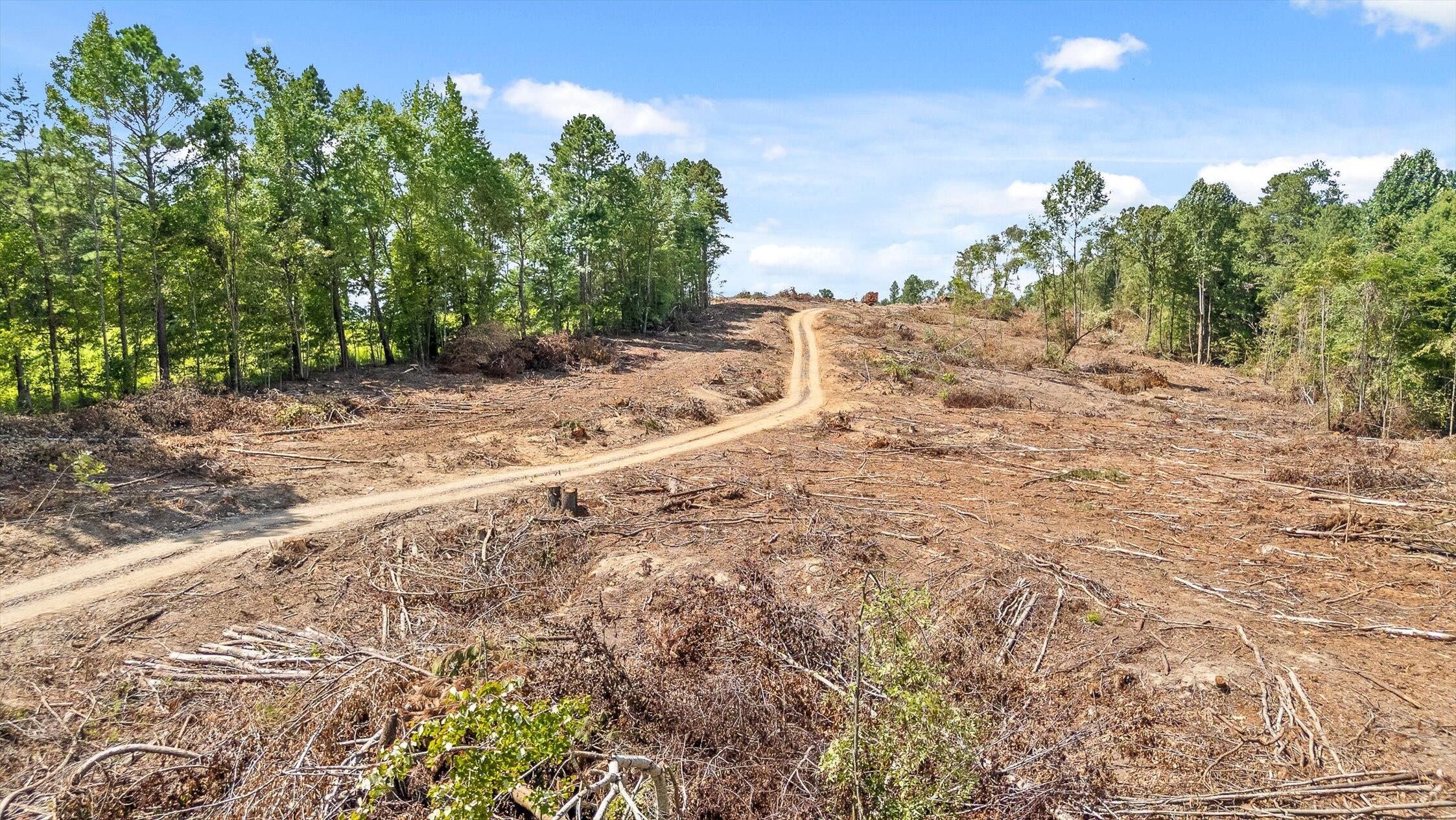 9 Wheeler Dam Road Cohutta, GA 30710 - Photo 13 of 40 27-Wheeler Dam-26
