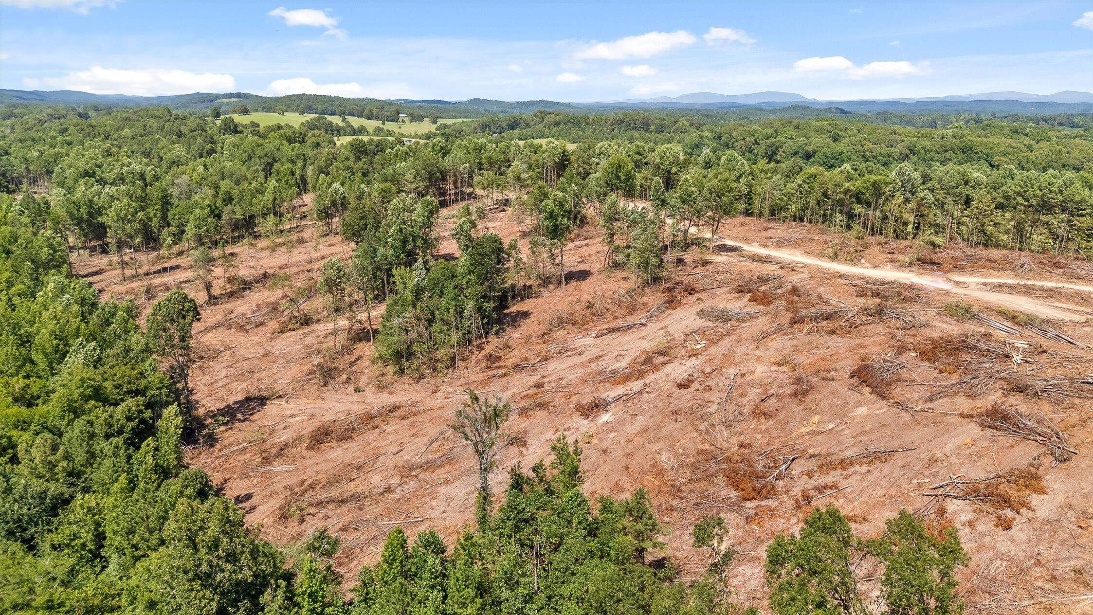 9 Wheeler Dam Road Cohutta, GA 30710 - Photo 8 of 40 32-Wheeler Dam-31