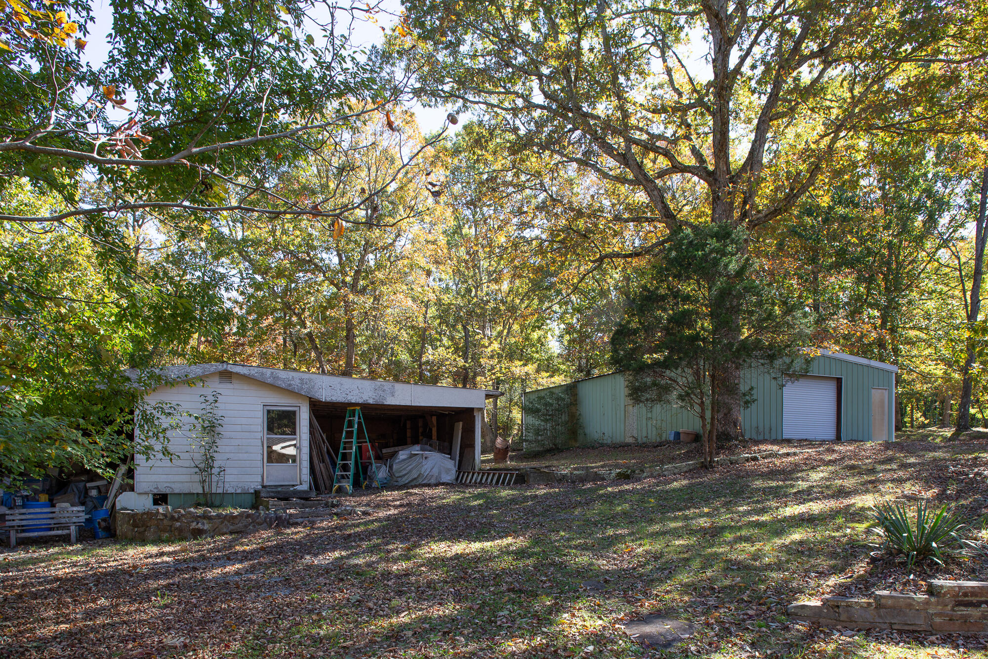 1924 Plum Nelly Road Rising Fawn, GA 30738 - Photo 44 of 45 20211027_1924PlumNelly_HoltWebb_0044-Edi
