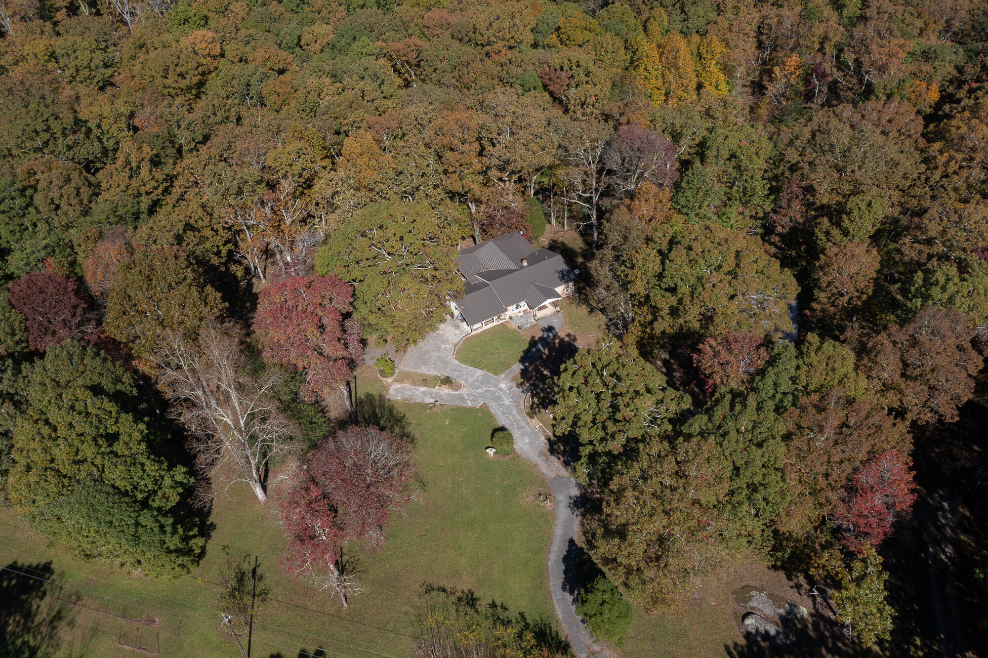 1924 Plum Nelly Road Rising Fawn, GA 30738 - Photo 6 of 45 20211027_1924PlumNelly_drone_HoltWebb_02