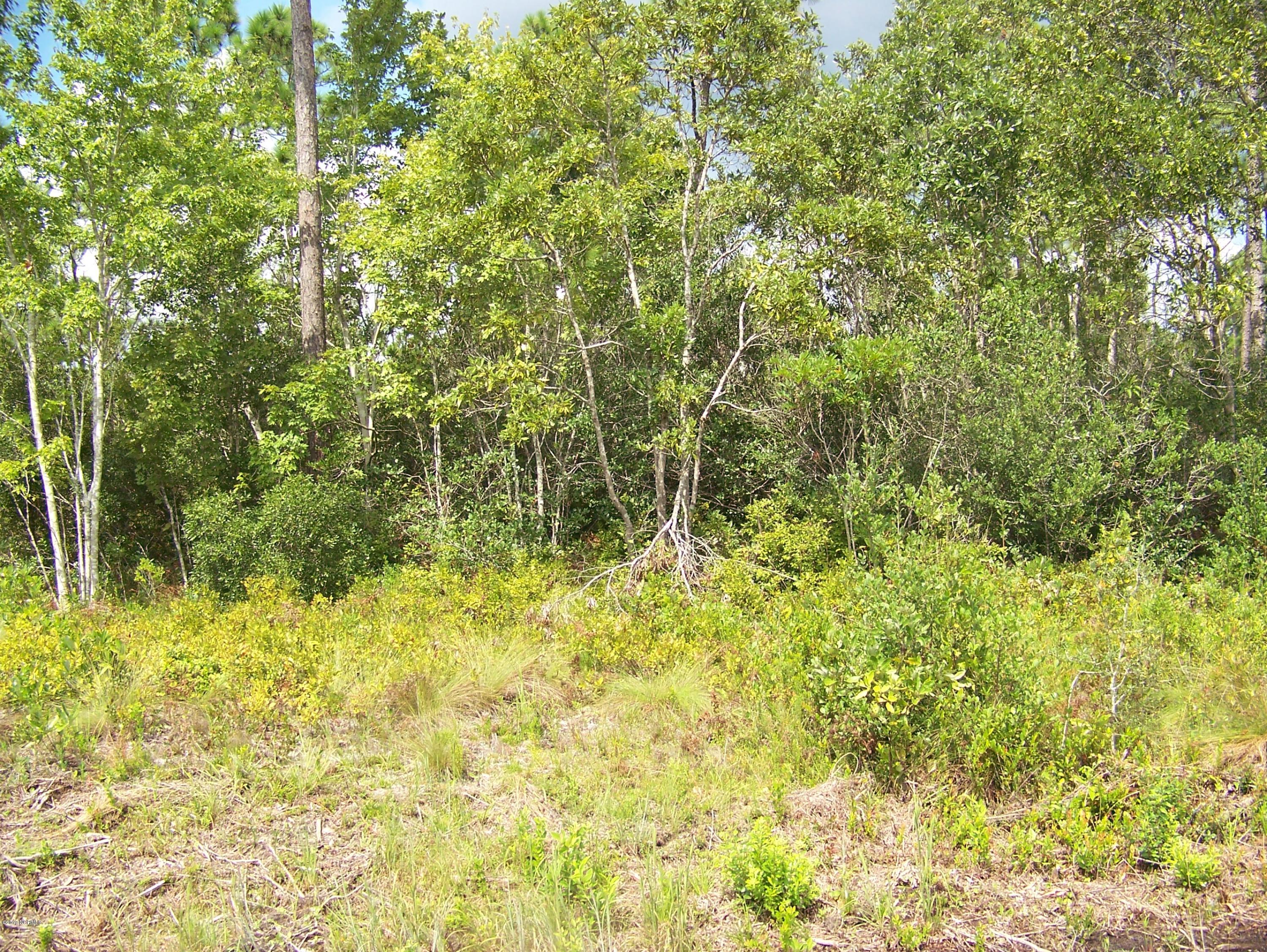 441 East Boiling Spring Road Southport, NC 28461 - Photo 1 of 1 front