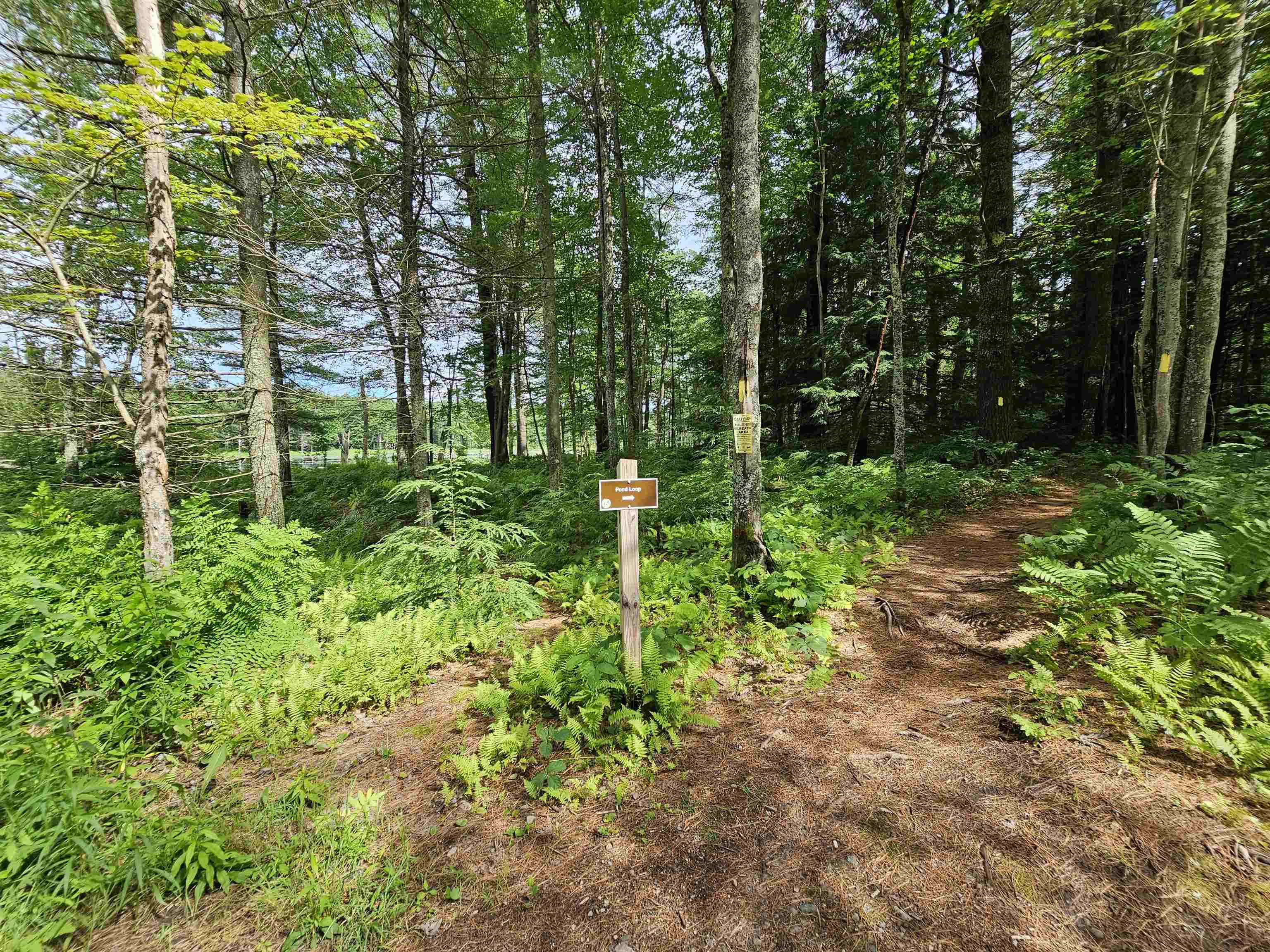 53 Curtisville Road, Unit 3 Concord, NH 03301 - Photo 27 of 36