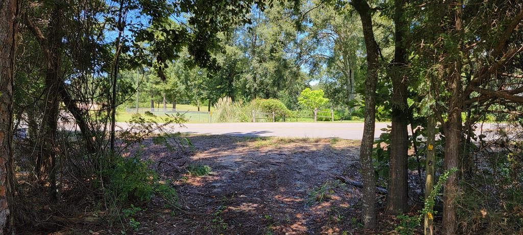 33 Rehobeth Al Dothan, AL 36303 - Photo 11 of 46