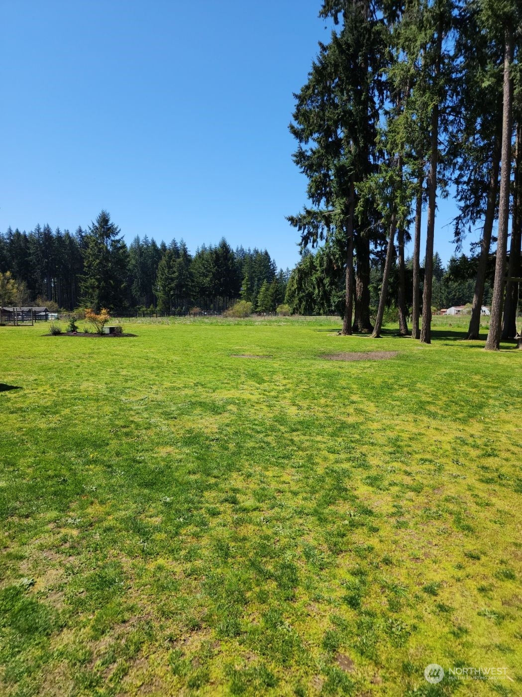 19312 Patterson Road East Orting, WA 98360 - Photo 37 of 39 a view of field with trees in the background