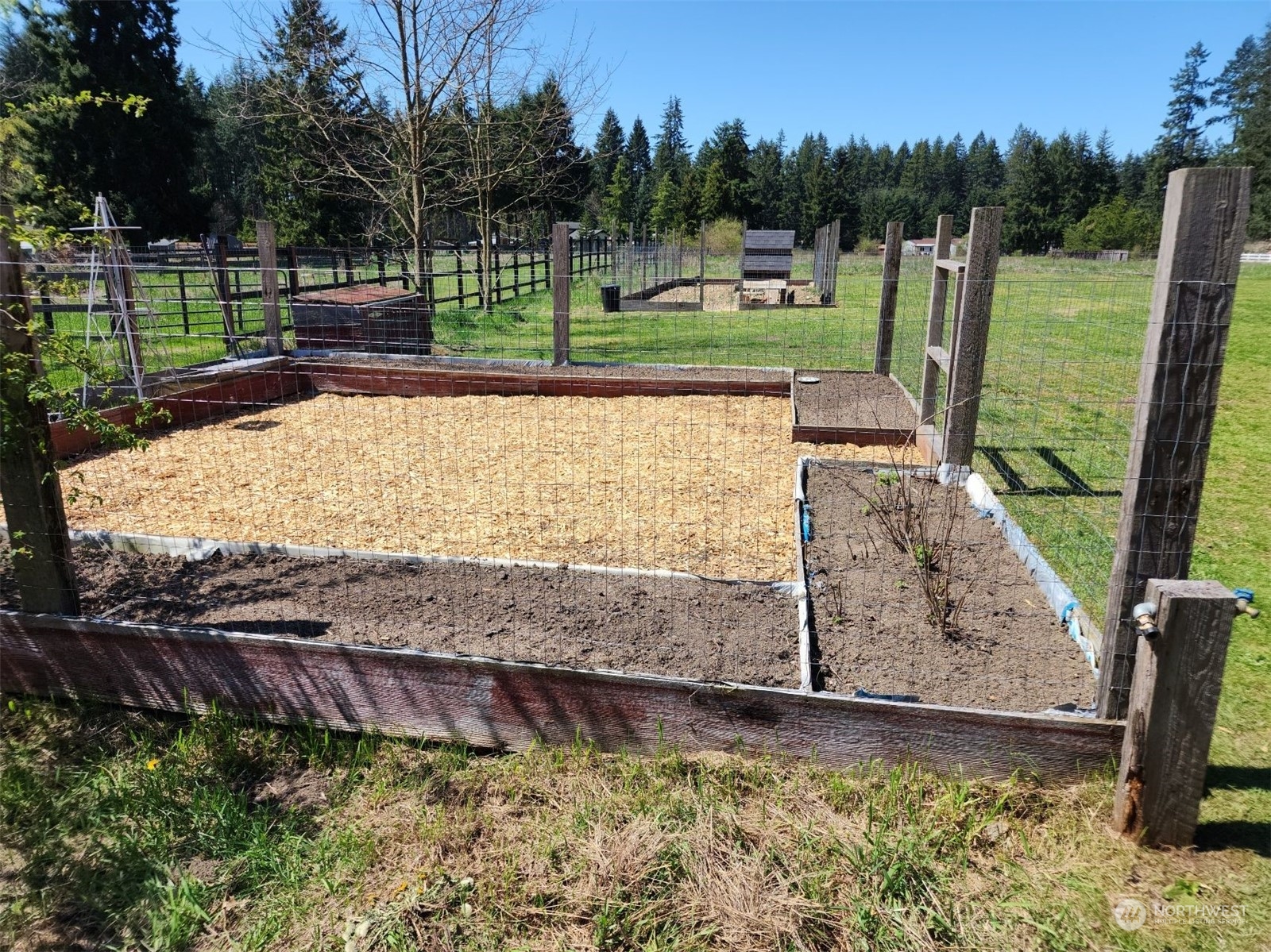 19312 Patterson Road East Orting, WA 98360 - Photo 38 of 39 a view of a backyard with wooden fence