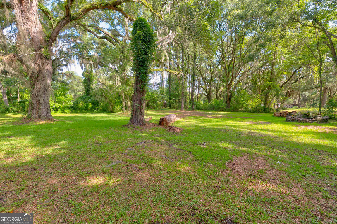 173 Fish Hall Road Brunswick, GA 31523 - Photo 40 of 52