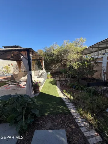 a view of a yard with plants and trees