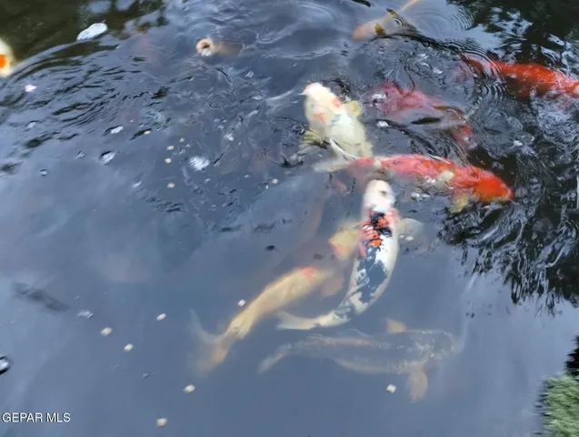 $675,000 | 7413 Lenox Court, El Paso, TX 79912