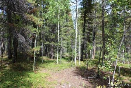 Spruce Way Black Hawk, CO 80422 - Photo 1 of 9 a green field with lots of trees