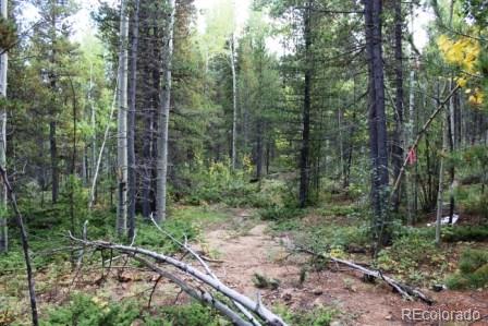 Spruce Way Black Hawk, CO 80422 - Photo 3 of 9 a view of a forest with trees