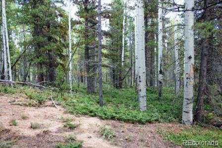 Spruce Way Black Hawk, CO 80422 - Photo 4 of 9 a view of a forest with trees