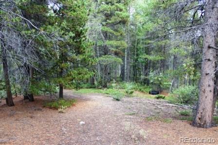Spruce Way Black Hawk, CO 80422 - Photo 5 of 9 a view of a forest with trees in the background