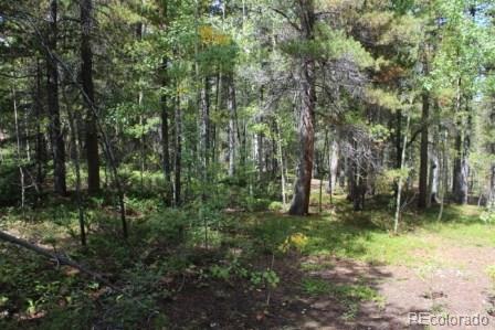 Spruce Way Black Hawk, CO 80422 - Photo 8 of 9 a big yard with lots of green space and deers