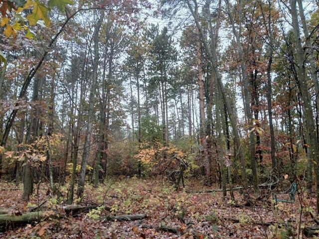 East Charles Road Ionia, MI 48846 - Photo 14 of 24 image000000_1
