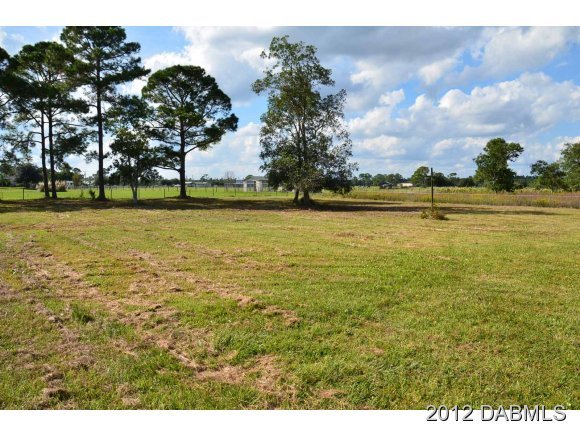 597 Rasley Road New Smyrna Beach, FL 32168 - Photo 8 of 10 Additional Photo