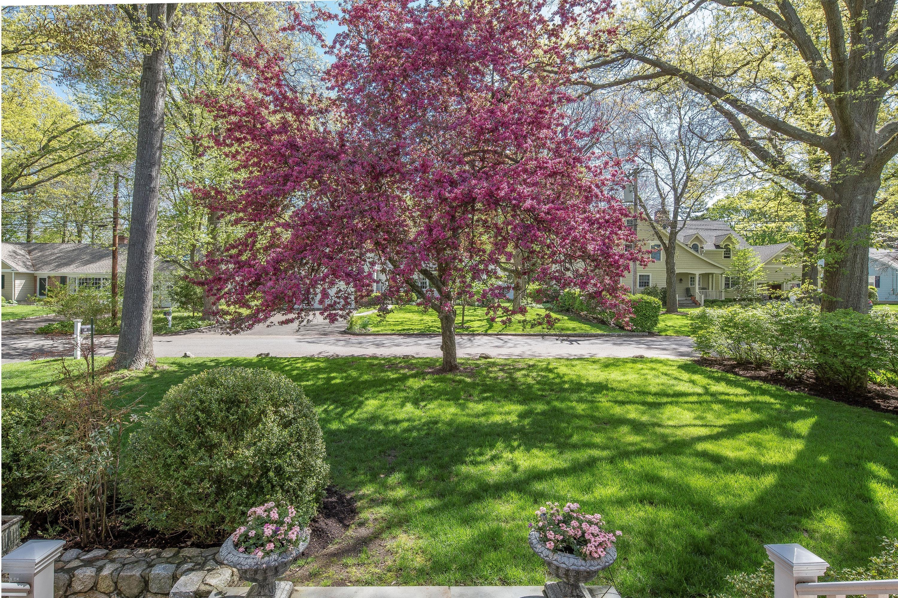 10 Palmer Terrace Riverside, CT 06878 - Photo 21 of 21 a view of backyard with large trees