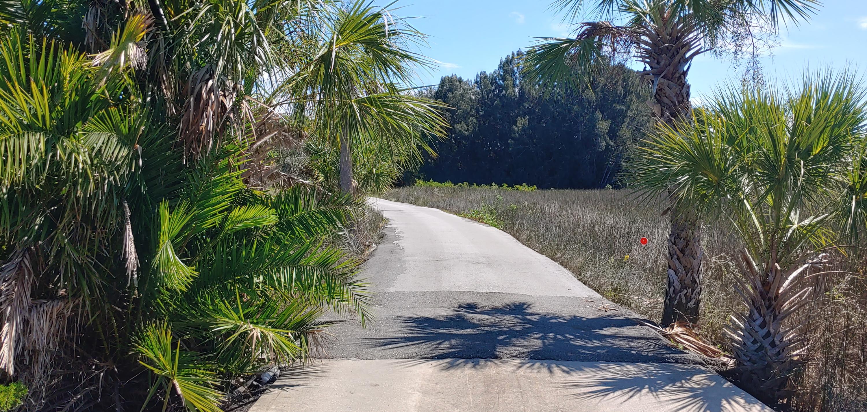 0 Shine Lane Spring Hill, FL 34607 - Photo 8 of 13 road shine lane