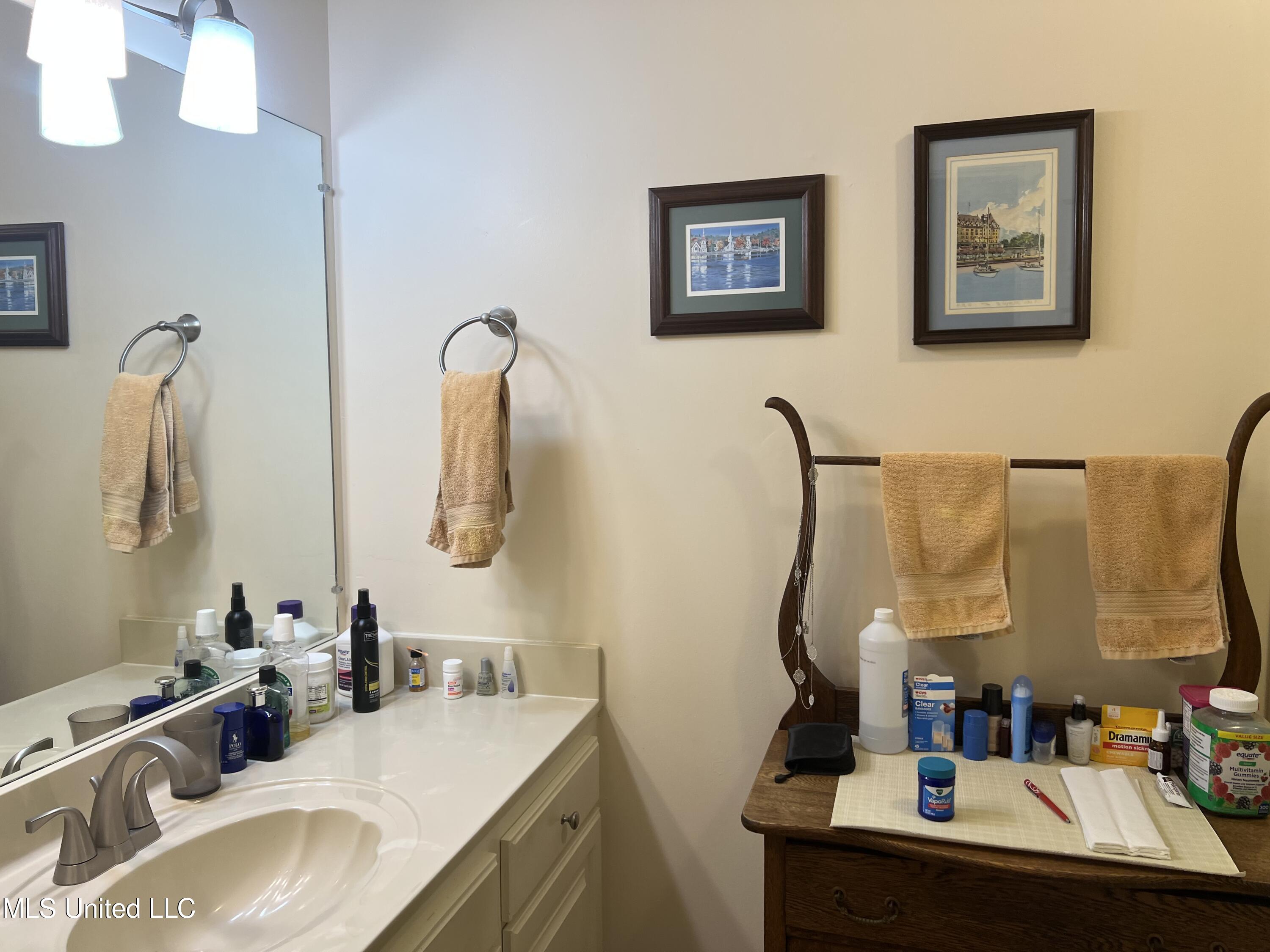 1031 Rocky Point Road Carthage, MS 39051 - Photo 13 of 19 RockyPointMasterVanity