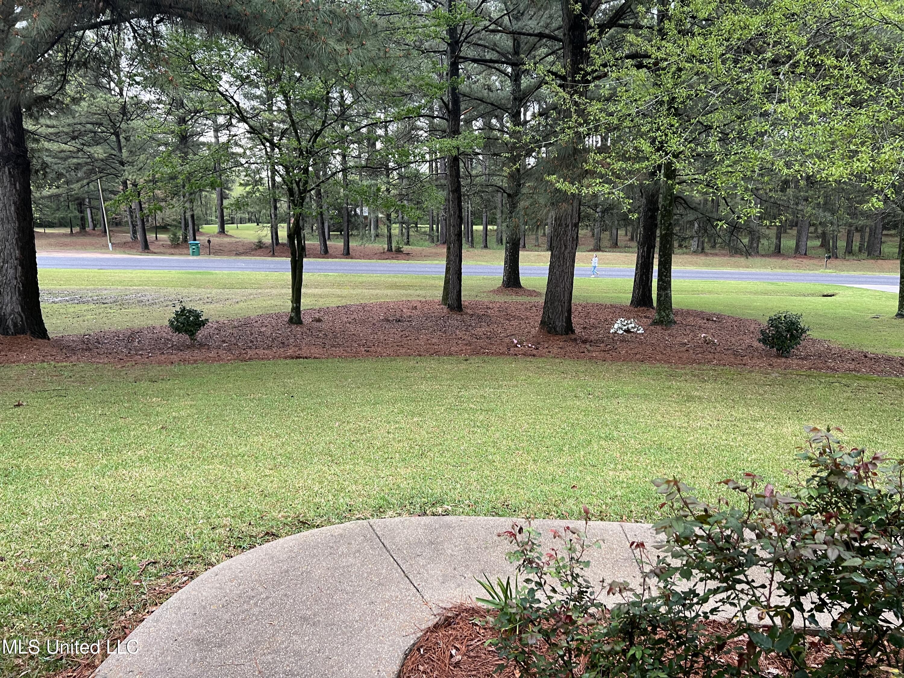 1031 Rocky Point Road Carthage, MS 39051 - Photo 2 of 19 RockyPointfrontviewofstreet