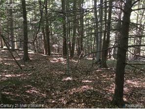 0 Huron Line Road East Minden City, MI 48456 - Photo 24 of 63 5030052560_27.jpg