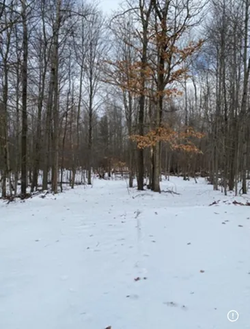 $12,900 | 470 North McCord Street, Benton Harbor, MI 49022