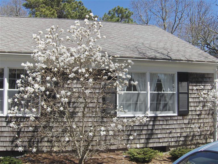 110 Round Cove Road Chatham, MA 02633 - Photo 15 of 16 a view of house with large windows