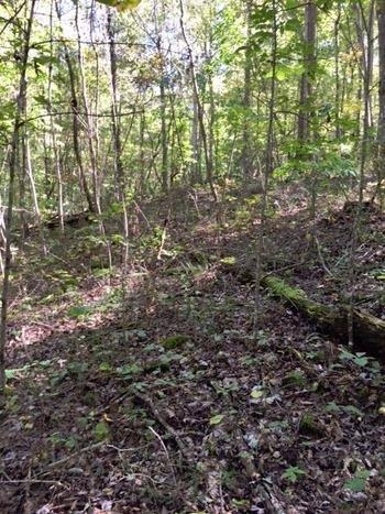 420 Dead Ox Hollow Road Burnside, KY 42519 - Photo 2 of 9 Additional Photo