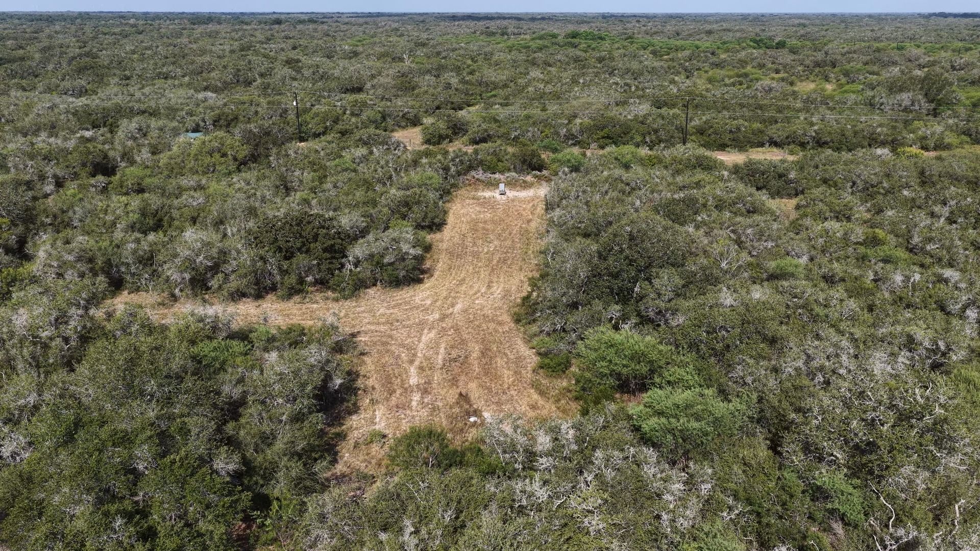 251 Old Goliad Road Refugio, TX 78377 - Photo 32 of 40 A cleared central building site sits nestled amidst a dense canopy of mature trees.