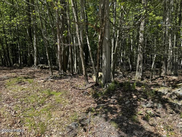 Lot 826 Fawn Road Hawley, PA 18428 - Photo 9 of 31