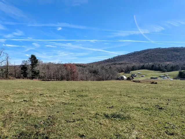 a view of a field with an ocean