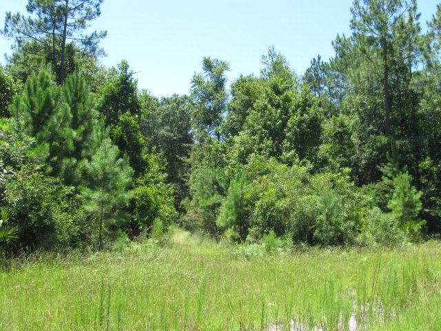 1070 Buck Swamp Road Brunswick, GA 31523 - Photo 1 of 1 Gallery Image 1