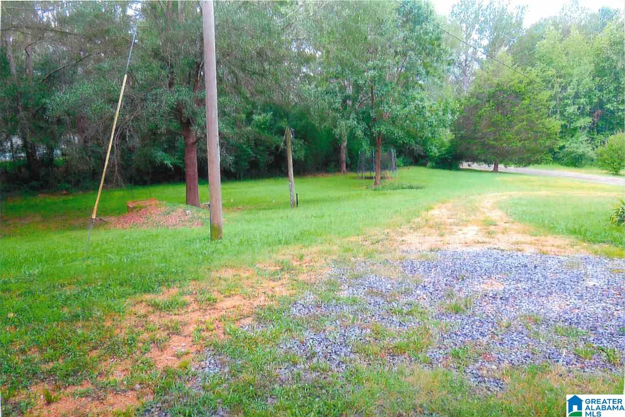109 Castleberry Hollow Road Cropwell, AL 35054 - Photo 3 of 19