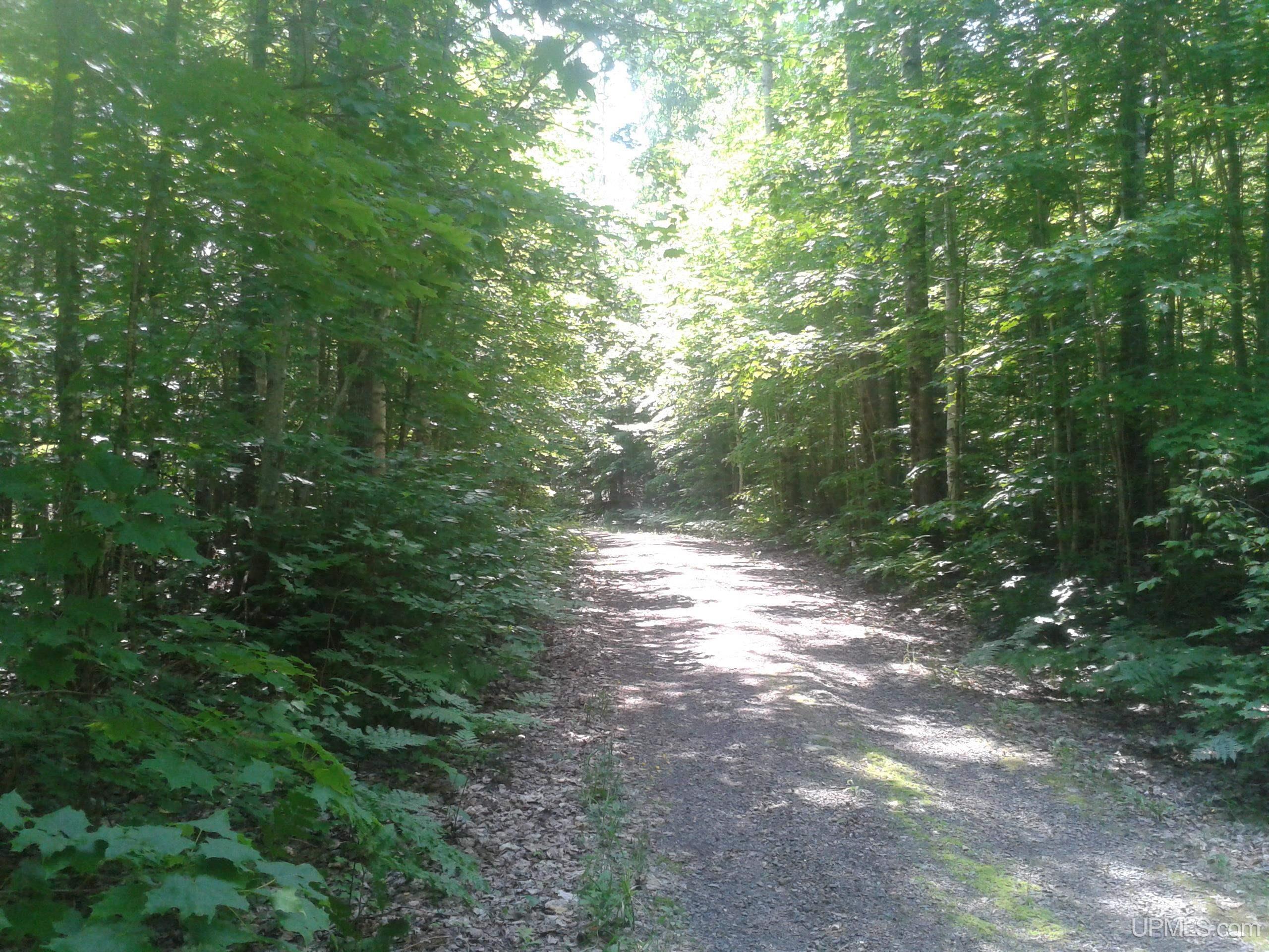 5.1 A Holli Blue Road Republic, MI 49879 - Photo 4 of 6
