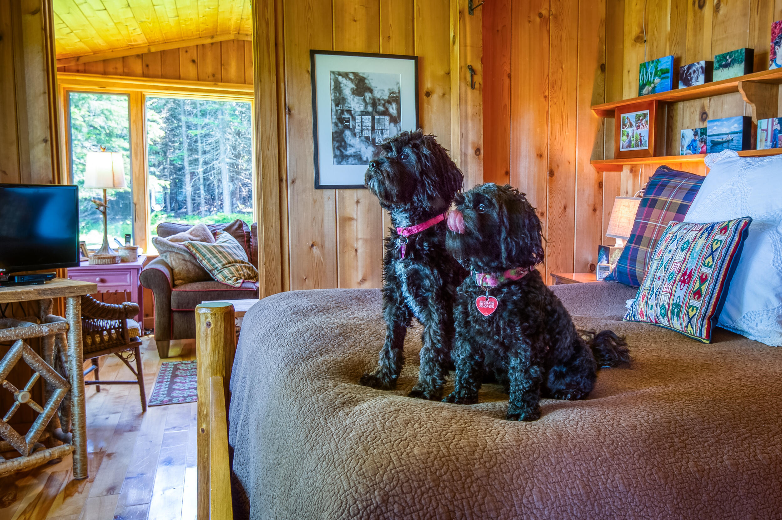 142 Gull Pond Road Dallas Plt, ME 04970 - Photo 25 of 55 _JRV8335_HDR