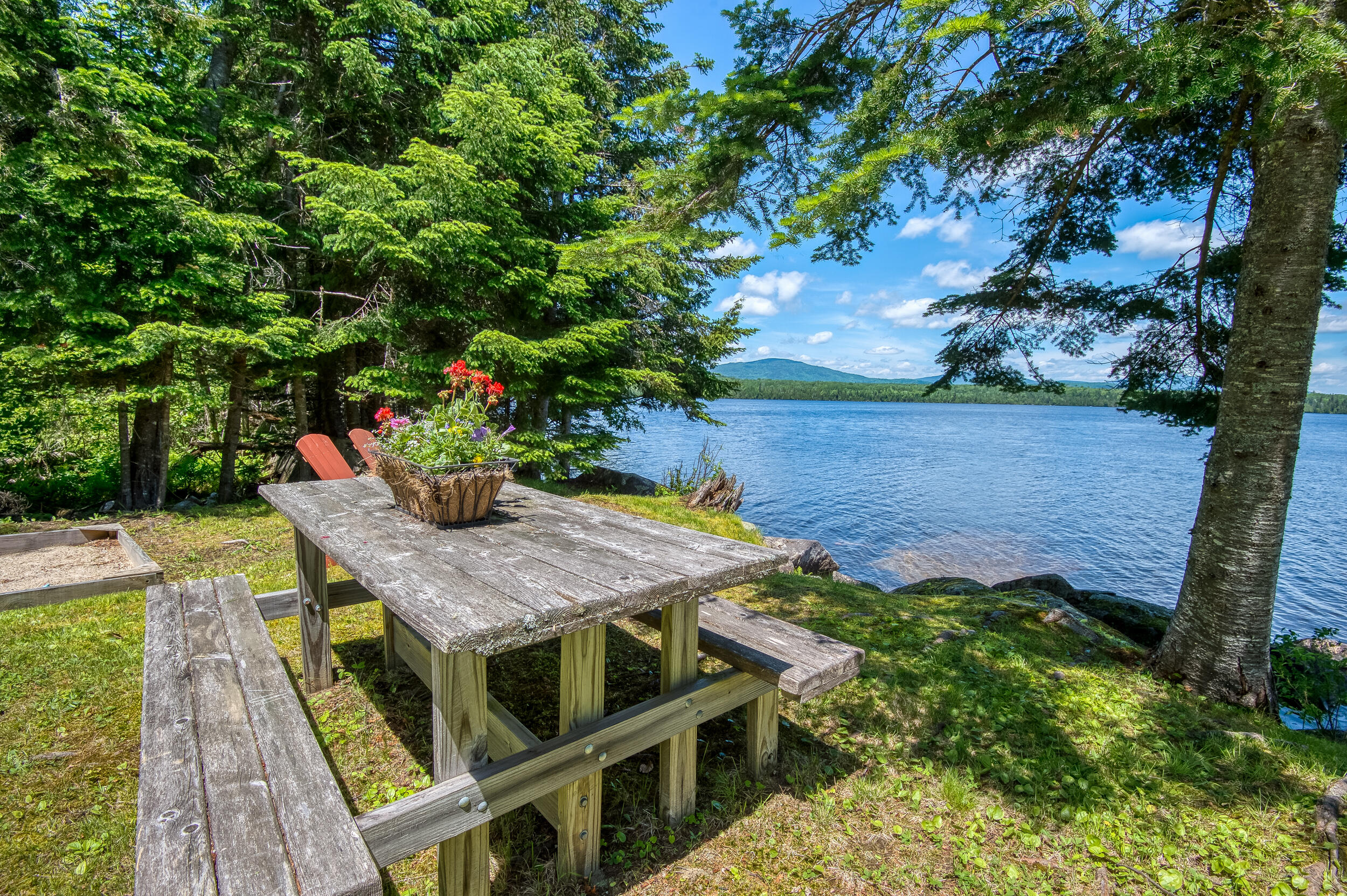 142 Gull Pond Road Dallas Plt, ME 04970 - Photo 39 of 55 _JRV8230_HDR