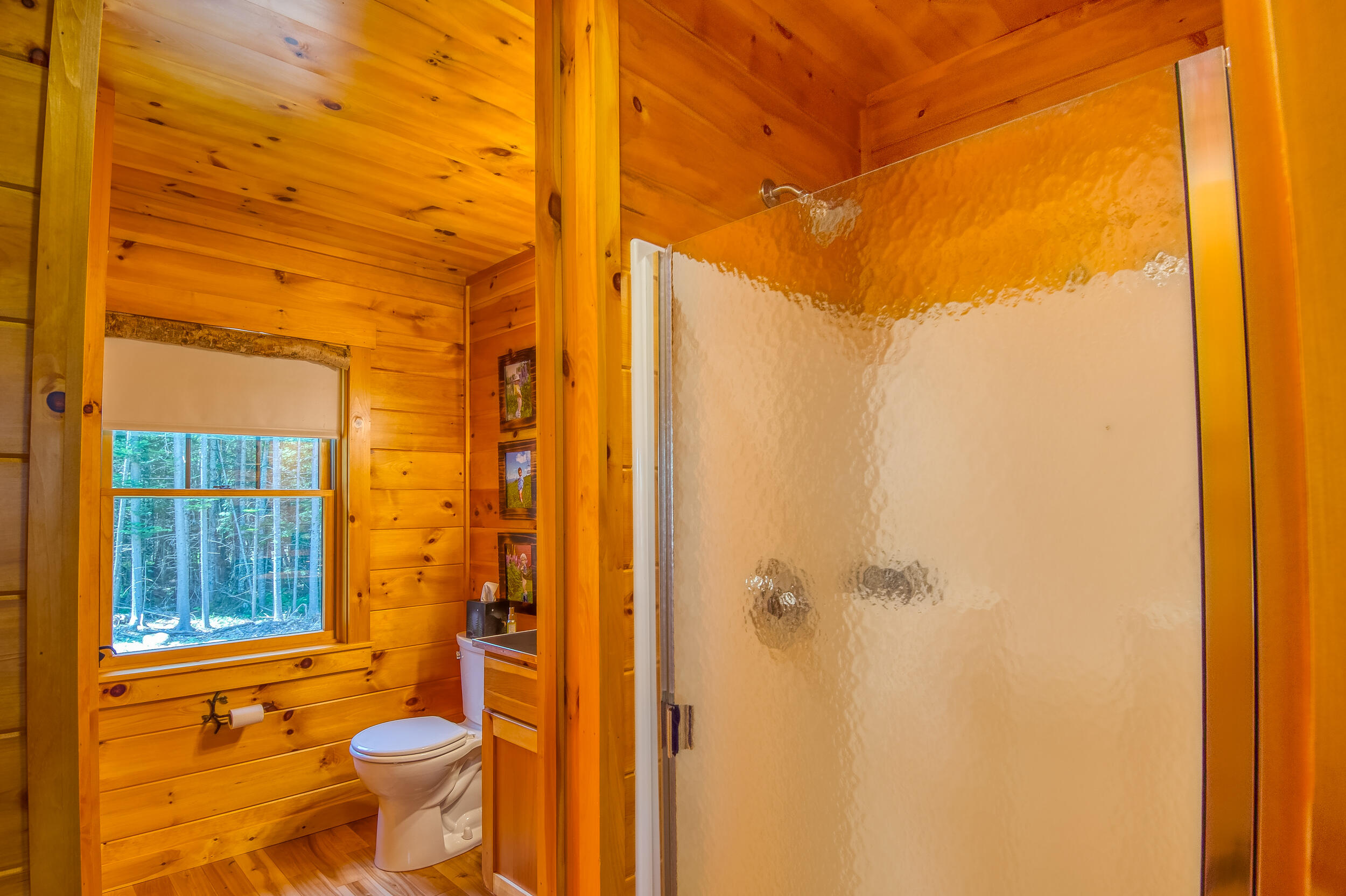 142 Gull Pond Road Dallas Plt, ME 04970 - Photo 50 of 55 _JRV8311_HDR