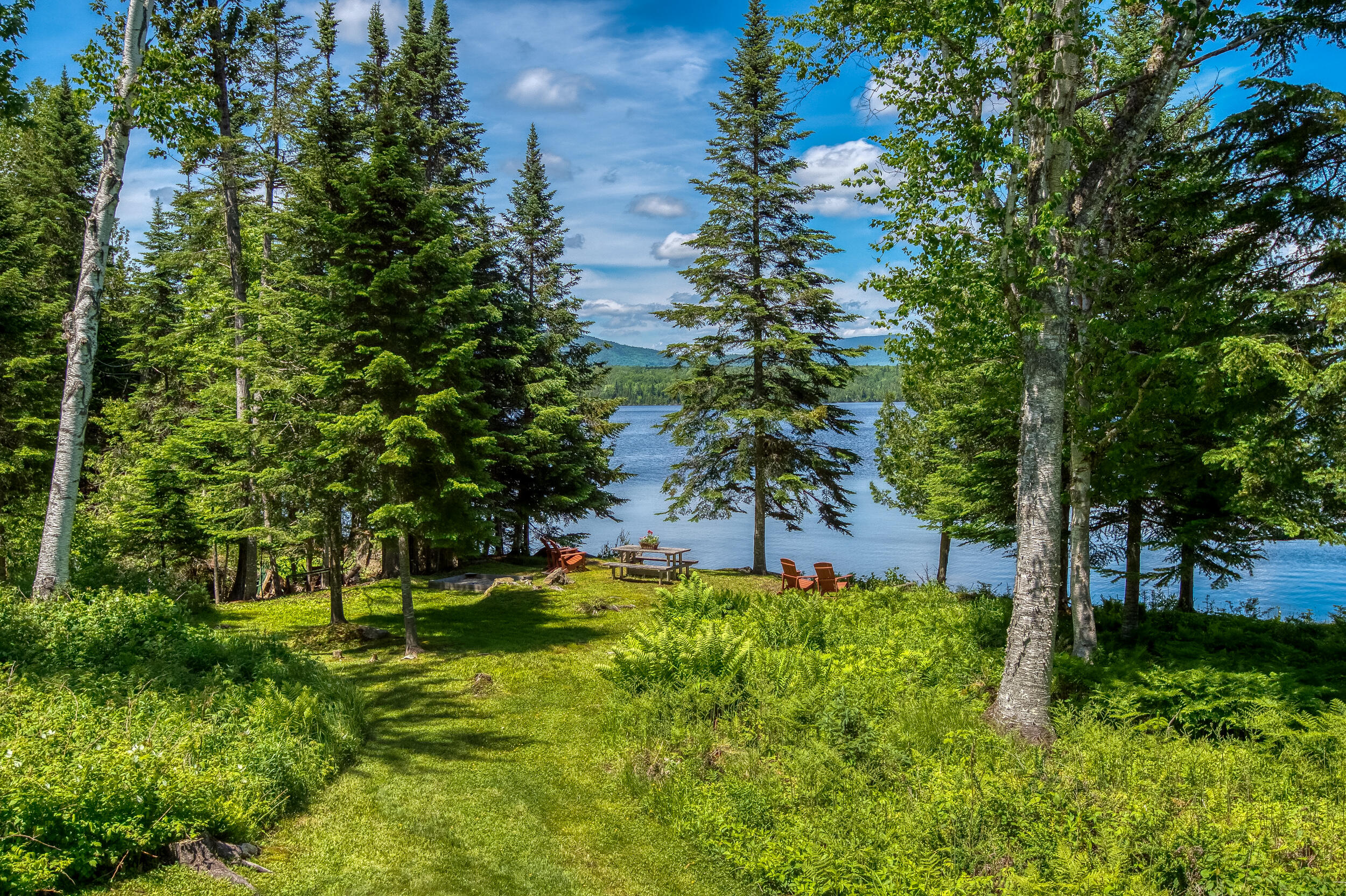 142 Gull Pond Road Dallas Plt, ME 04970 - Photo 53 of 55 _JRV8479_HDR