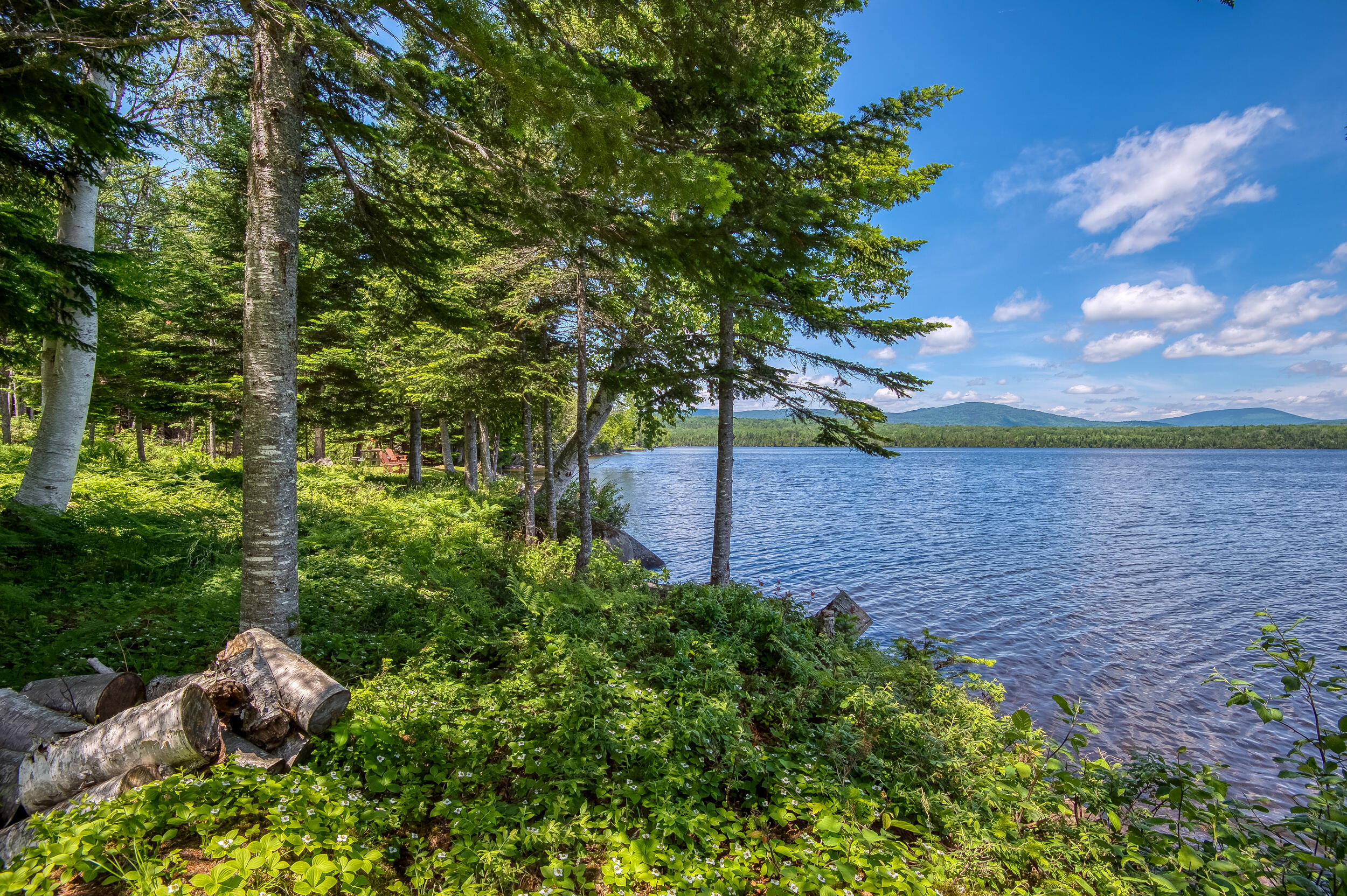 142 Gull Pond Road Dallas Plt, ME 04970 - Photo 7 of 55 _JRV8221_HDR