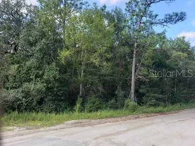 a view of a yard with a trees