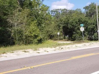 a view of a yard with a tree