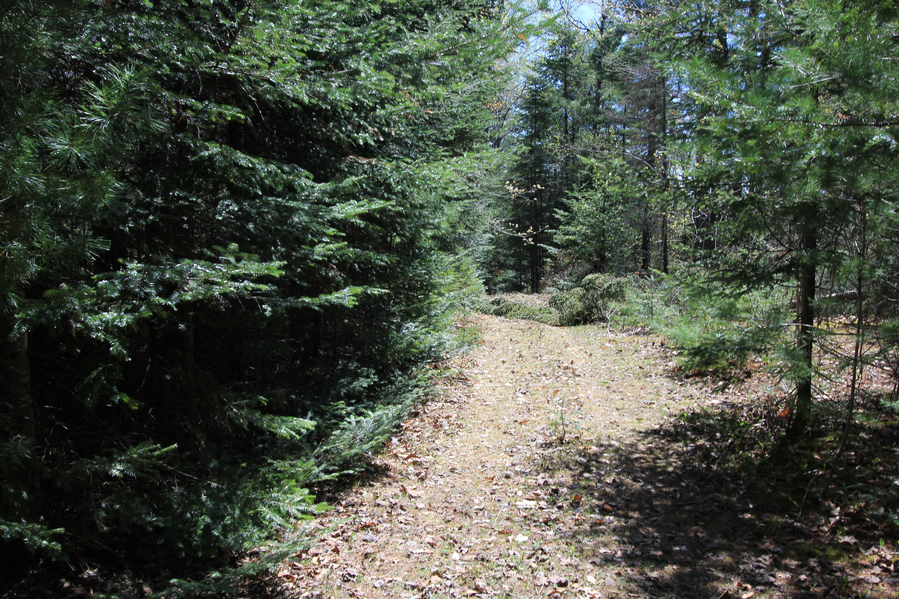21 Robbins Road Madison, ME 04950 - Photo 39 of 51 IMG_0011