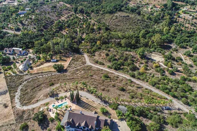 a view of a city with lush green forest