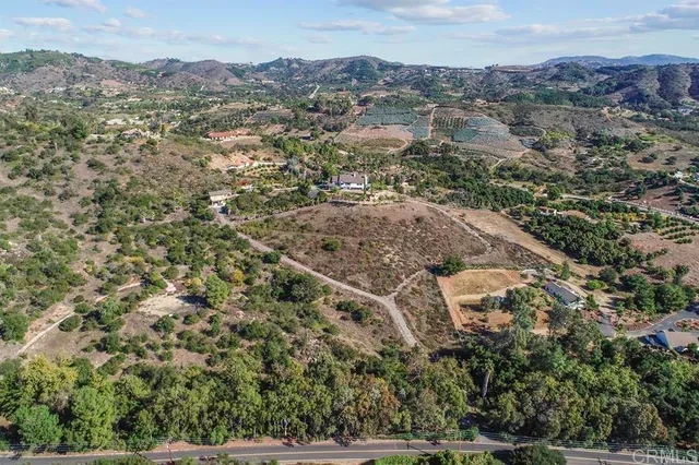an aerial view of forest