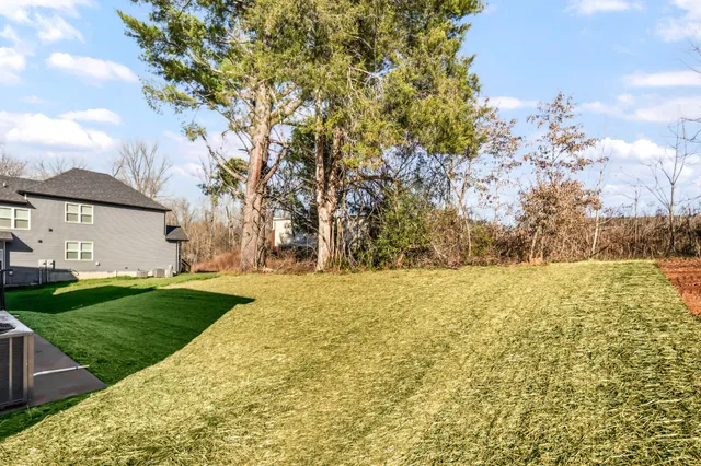 a view of yard with large tree