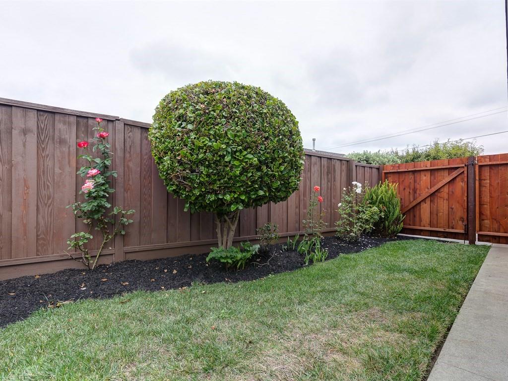6258 Castillon Drive Newark, CA 94560 - Photo 13 of 20 a view of a backyard