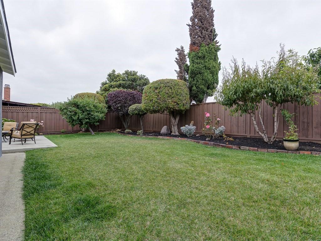 6258 Castillon Drive Newark, CA 94560 - Photo 15 of 20 a backyard of a house with lots of green space