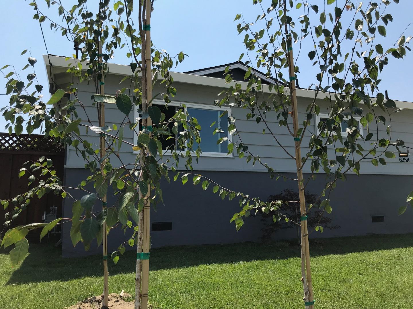 6258 Castillon Drive Newark, CA 94560 - Photo 9 of 20 a view of a house